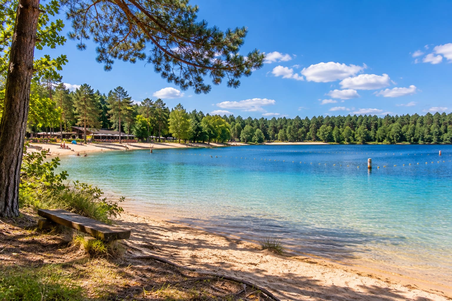 Gasselte – bossen, helderblauw water en de Hondsrug